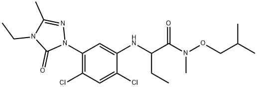 CasImg