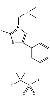 CasImg