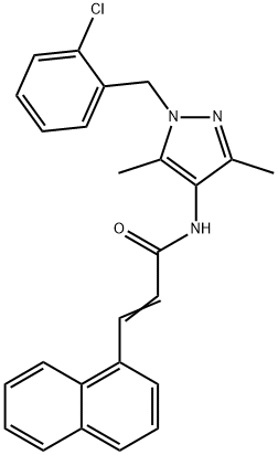 CasImg