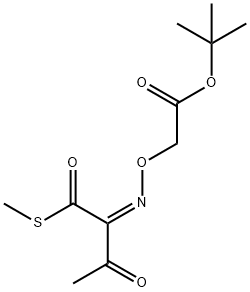 CasImg