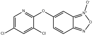 CasImg