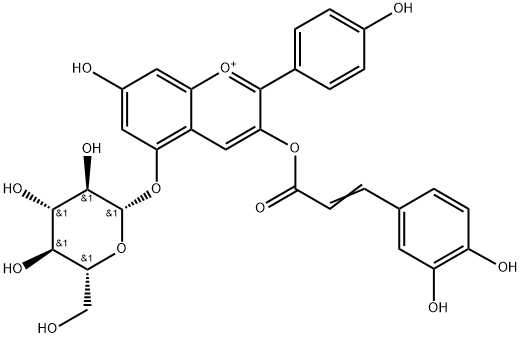 CasImg