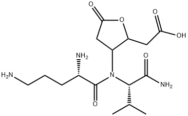 CasImg