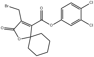 CasImg