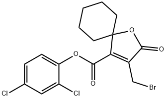 CasImg