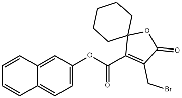 CasImg