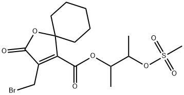 CasImg