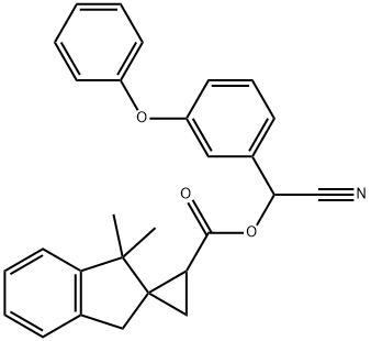 CasImg