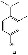 CasImg