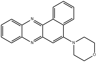 CasImg