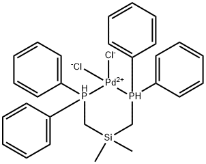 CasImg