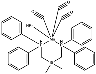 CasImg