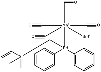 CasImg