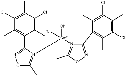 CasImg
