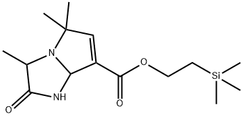CasImg