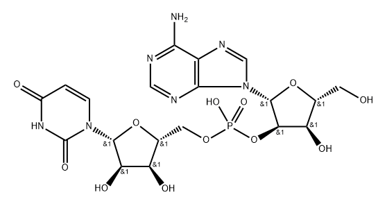 CasImg