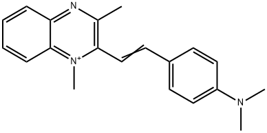 CasImg