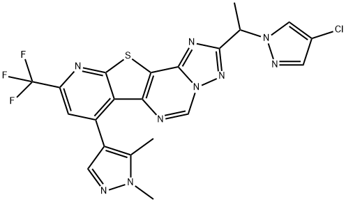 CasImg