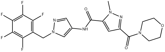 CasImg