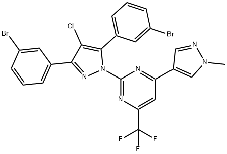 CasImg