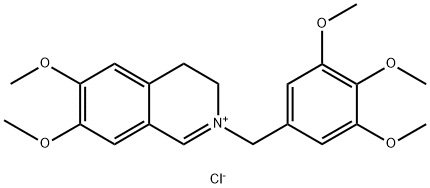 CasImg