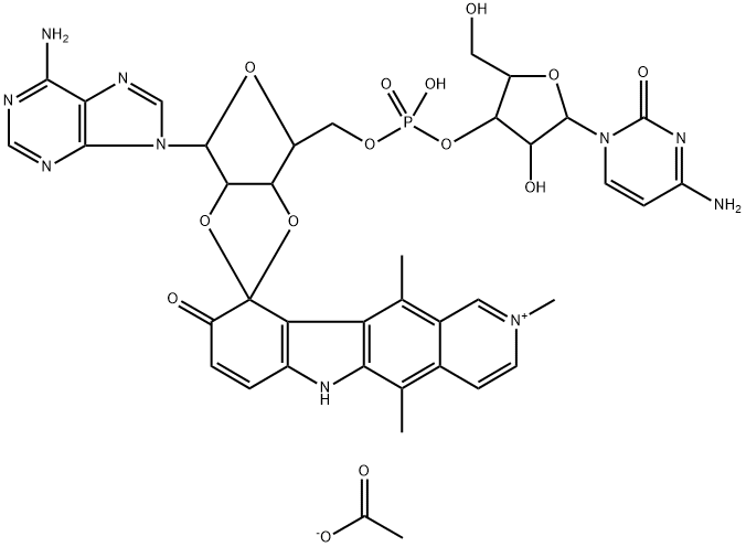 CasImg