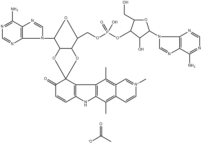 CasImg