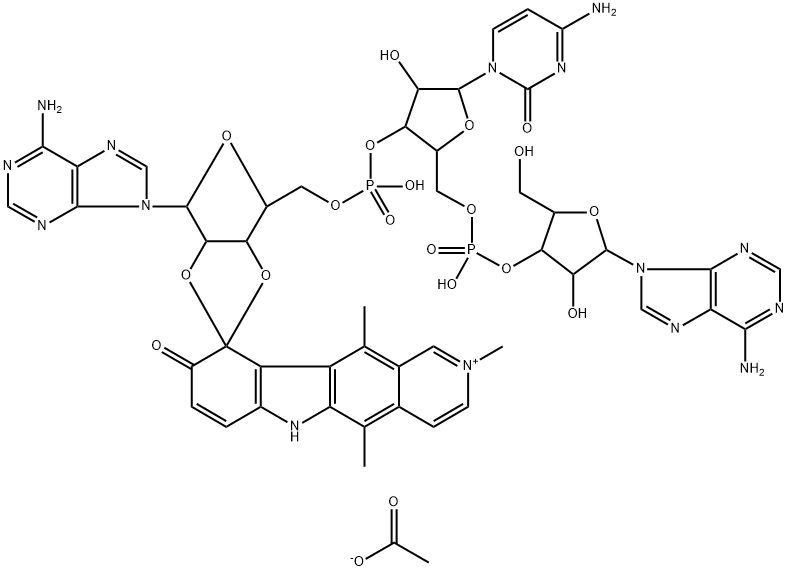 CasImg