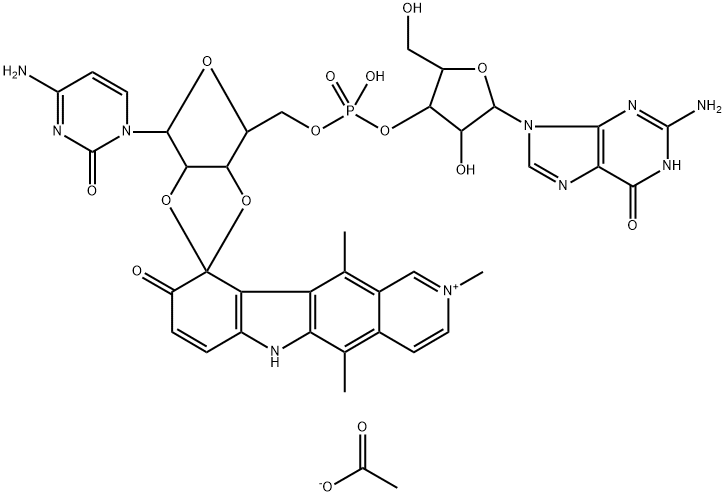 CasImg