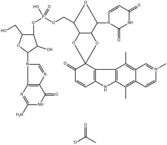 CasImg