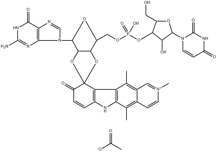 CasImg