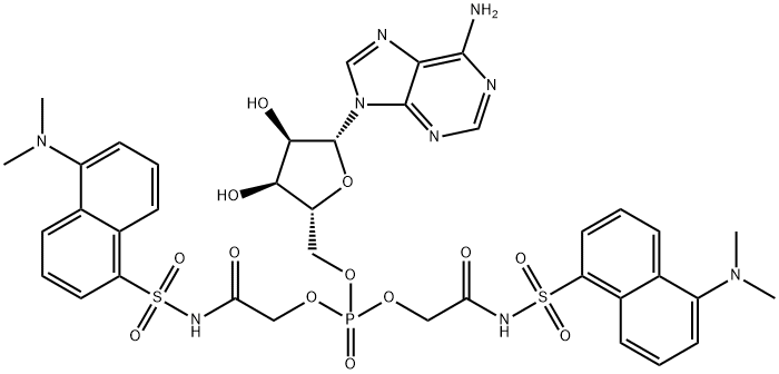 CasImg