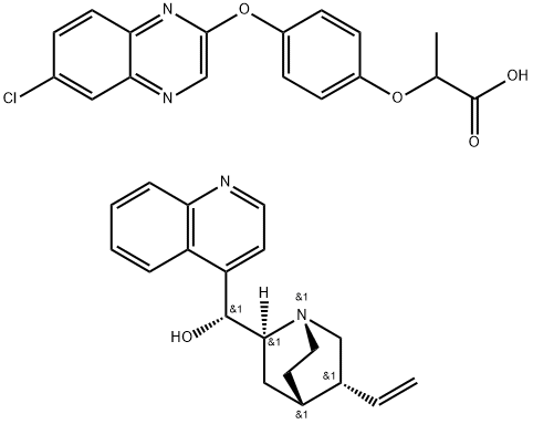 CasImg