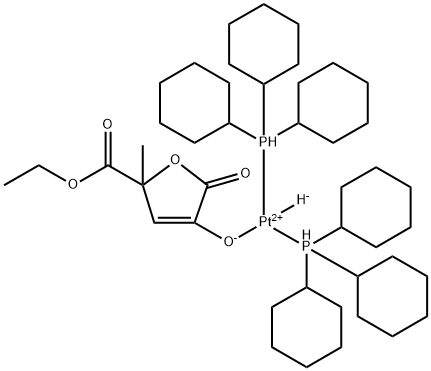 CasImg
