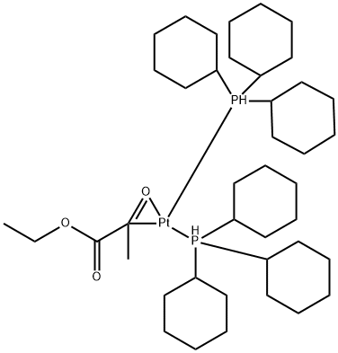 CasImg