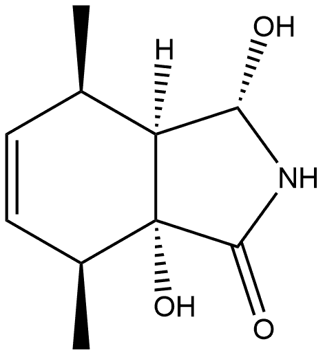 CasImg