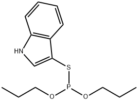 CasImg