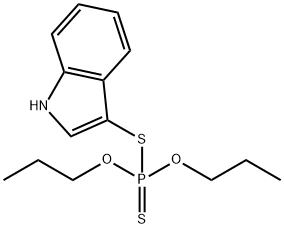 CasImg