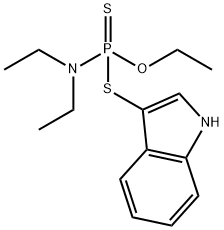 CasImg
