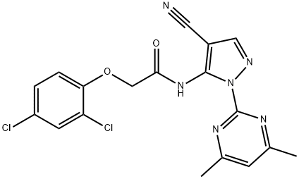 CasImg