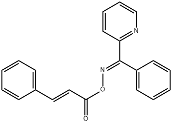 CasImg