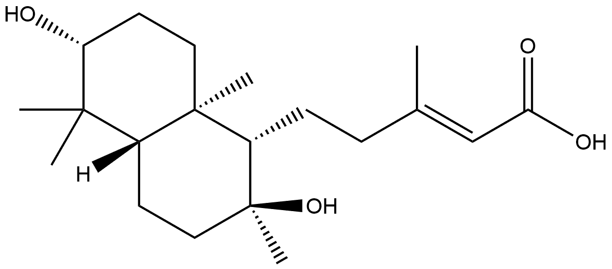 CasImg