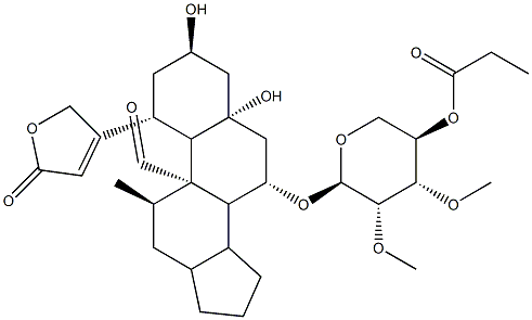 CasImg