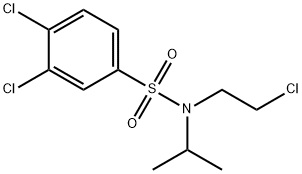CasImg