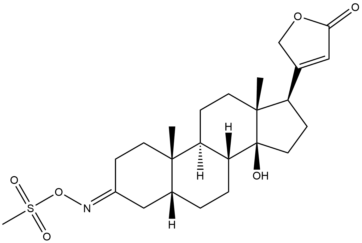 CasImg