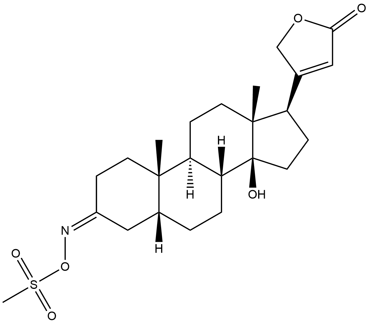 CasImg