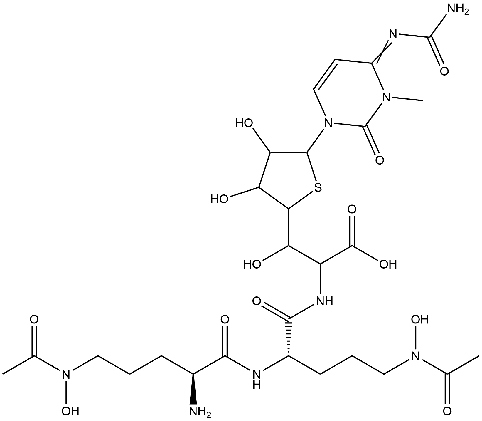 CasImg
