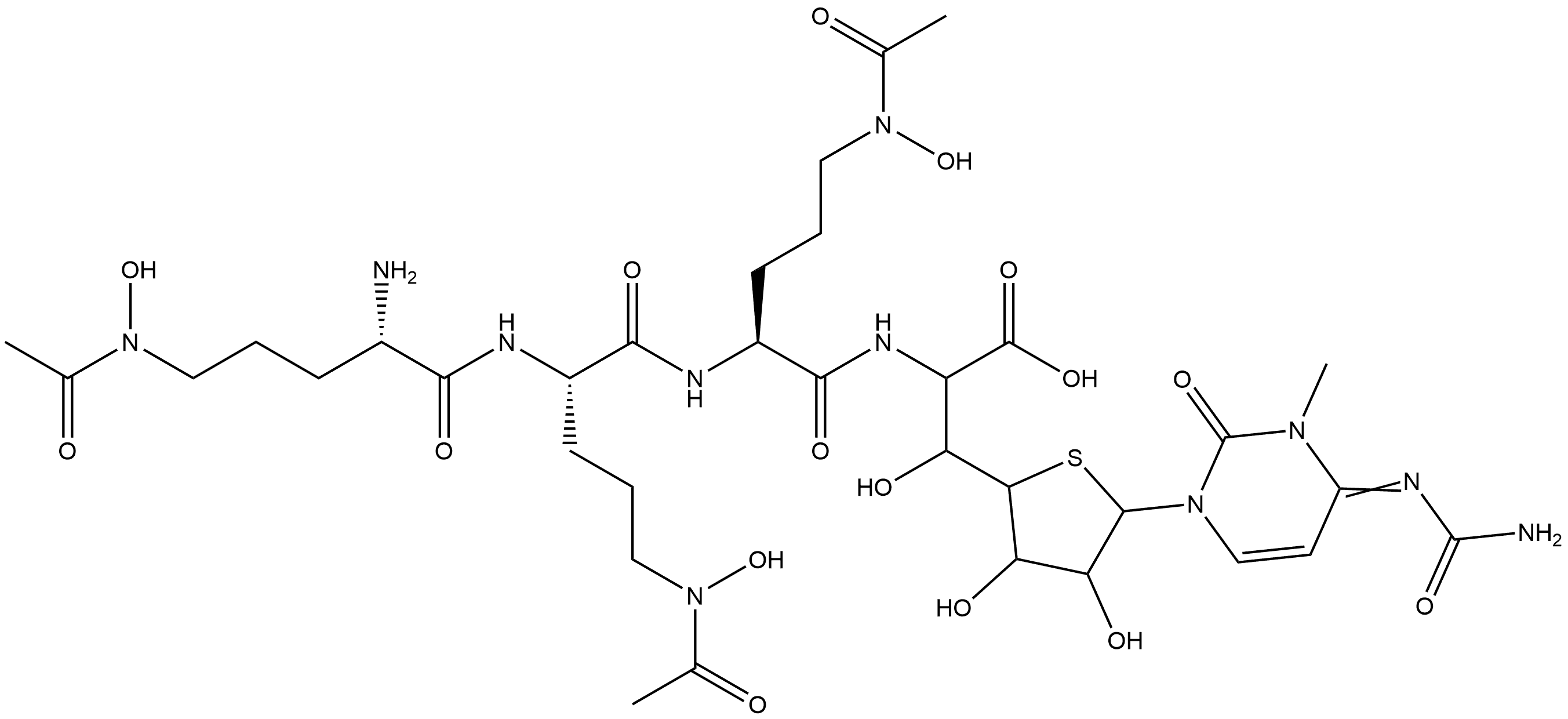 CasImg