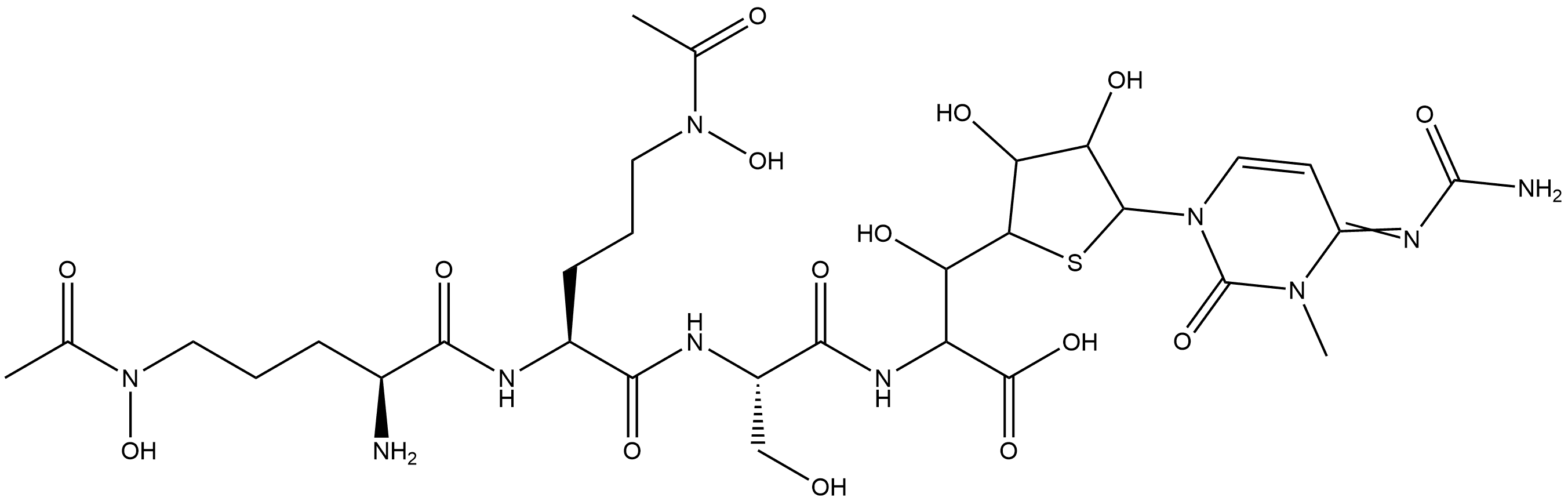 CasImg