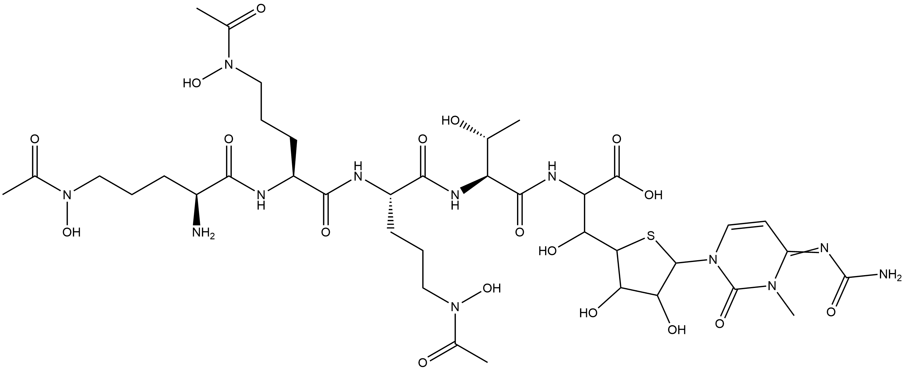 CasImg